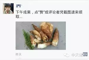 797娱乐下载